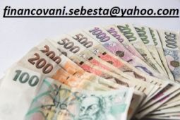 Spotřebitelská finanční pomoc