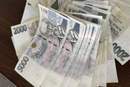 50 000 do maximálně 45 000 000 Kč